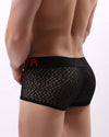 LACE- MESH SEXY BRIEFS - nutzcase