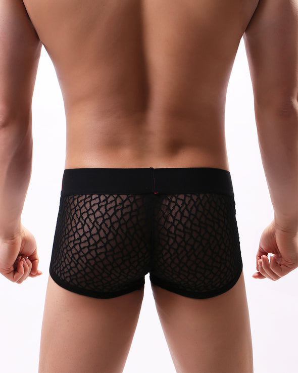 LACE- MESH SEXY BRIEFS - nutzcase