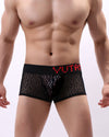 LACE- MESH SEXY BRIEFS - nutzcase