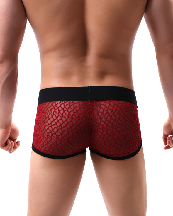 LACE- MESH SEXY BRIEFS - nutzcase