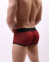 LACE- MESH SEXY BRIEFS - nutzcase