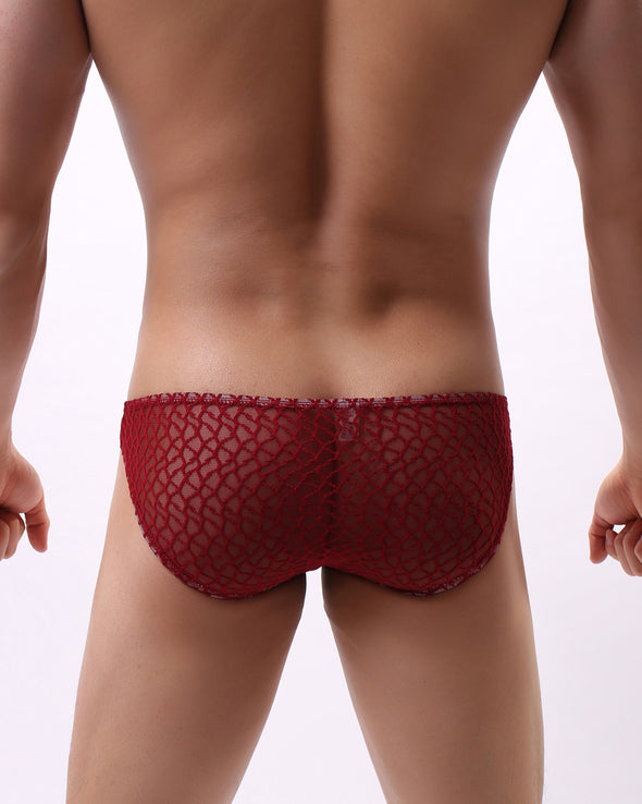 LACE- MESH SEXY BIKINI - nutzcase