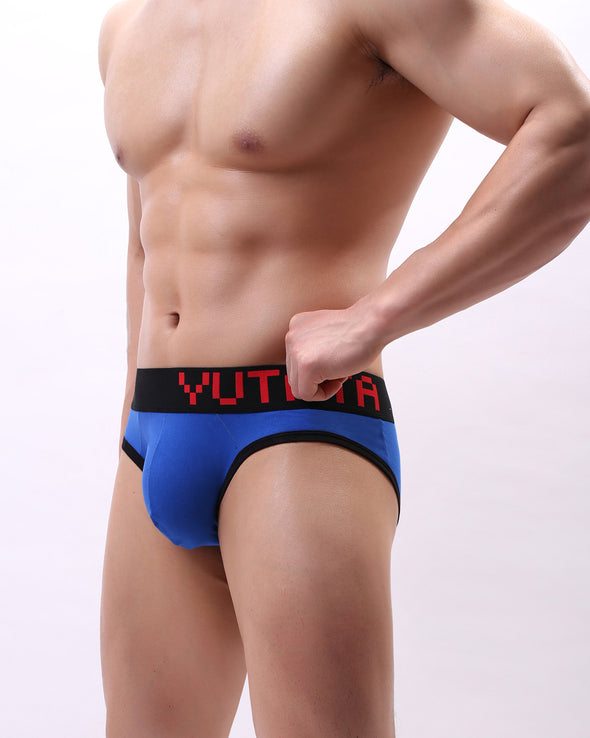 CLASSIC COTTON BRIEFS - nutzcase