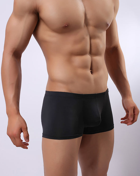 ICE SILK SEXY TRUNKS - nutzcase