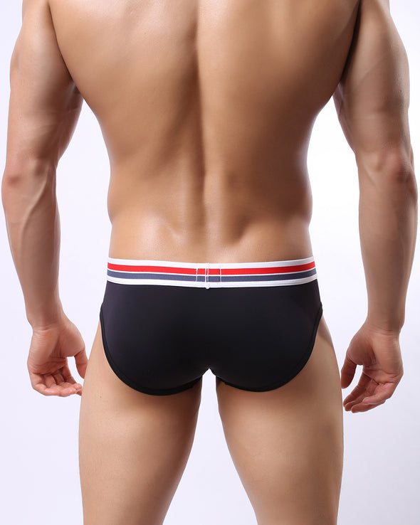 ICE SILK BRIEFS WITH STRIPED WAISTBAND - nutzcase