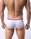 ICE SILK BRIEFS WITH STRIPED WAISTBAND - nutzcase