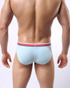 ICE SILK BRIEFS WITH STRIPED WAISTBAND - nutzcase